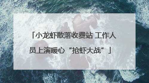 小龙虾散落收费站 工作人员上演暖心“抢虾大战”