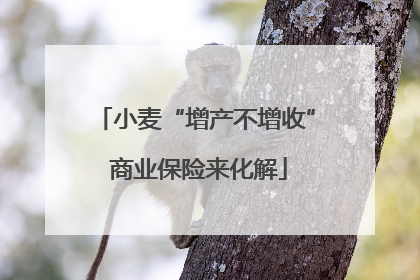 小麦“增产不增收” 商业保险来化解