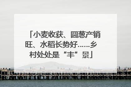 小麦收获、圆葱产销旺、水稻长势好……乡村处处是“丰”景