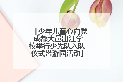 少年儿童心向党 成都大邑出江学校举行少先队入队仪式暨游园活动