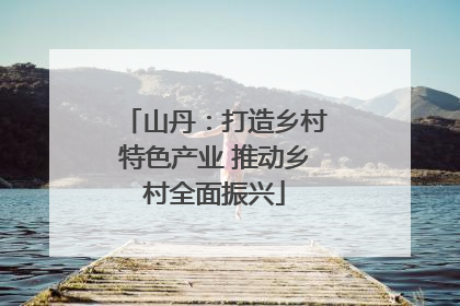山丹：打造乡村特色产业 推动乡村全面振兴