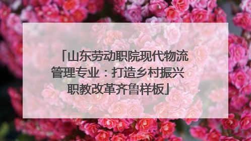 山东劳动职院现代物流管理专业：打造乡村振兴职教改革齐鲁样板