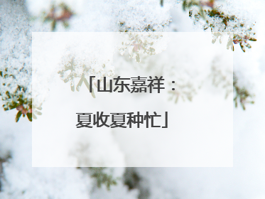 山东嘉祥：夏收夏种忙