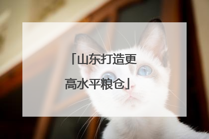 山东打造更高水平粮仓