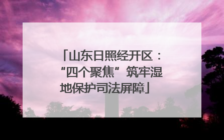 山东日照经开区：“四个聚焦”筑牢湿地保护司法屏障