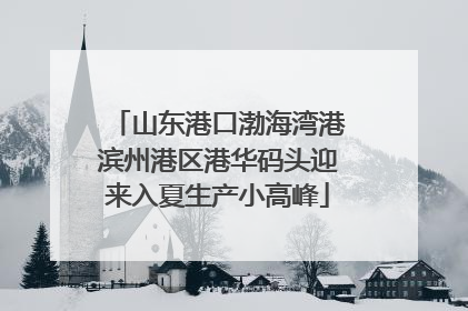 山东港口渤海湾港滨州港区港华码头迎来入夏生产小高峰