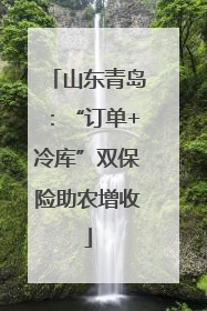 山东青岛:“订单+冷库”双保险助农增收