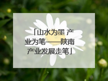 山水为墨 产业为笔——陕南产业发展走笔