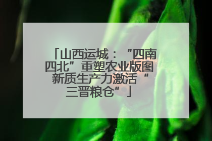 山西运城：“四南四北”重塑农业版图 新质生产力激活“三晋粮仓”
