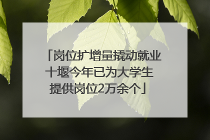 岗位扩增量撬动就业 十堰今年已为大学生提供岗位2万余个