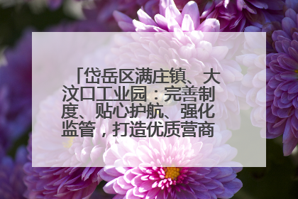 岱岳区满庄镇、大汶口工业园：完善制度、贴心护航、强化监管，打造优质营商“强磁场”