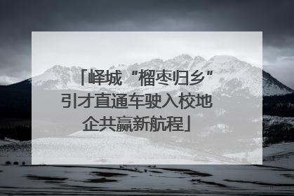 峄城“榴枣归乡”引才直通车驶入校地企共赢新航程
