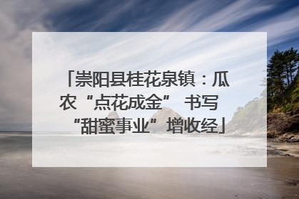 崇阳县桂花泉镇：瓜农“点花成金” 书写“甜蜜事业”增收经