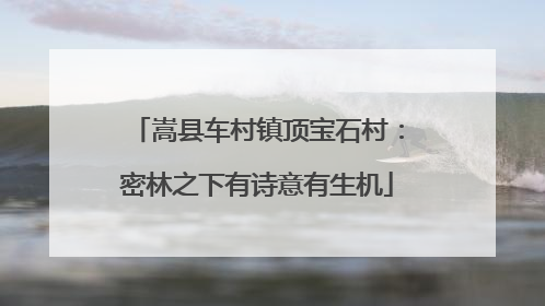 嵩县车村镇顶宝石村：密林之下有诗意有生机