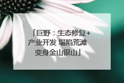 巨野：生态修复+产业开发 塌陷荒滩变身金山银山