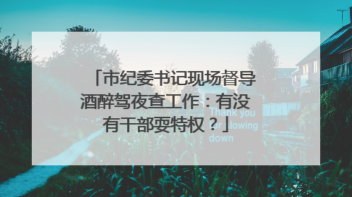 市纪委书记现场督导酒醉驾夜查工作：有没有干部耍特权？