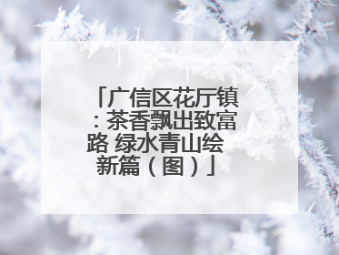 广信区花厅镇：茶香飘出致富路 绿水青山绘新篇（图）