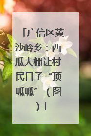 广信区黄沙岭乡：西瓜大棚让村民日子“顶呱呱”（图）