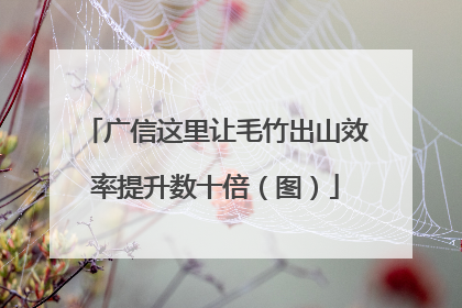广信这里让毛竹出山效率提升数十倍（图）