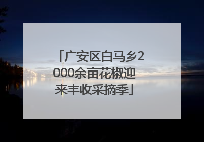 广安区白马乡2000余亩花椒迎来丰收采摘季