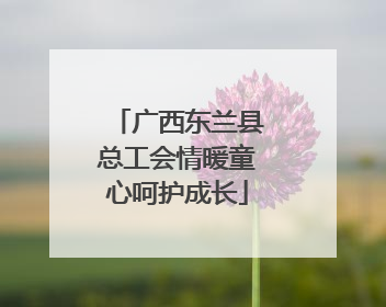 广西东兰县总工会情暖童心呵护成长