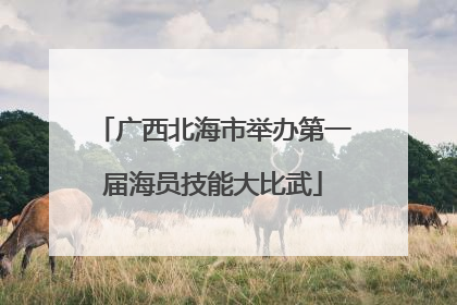 广西北海市举办第一届海员技能大比武