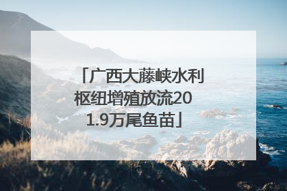 广西大藤峡水利枢纽增殖放流201.9万尾鱼苗