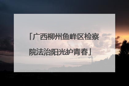 广西柳州鱼峰区检察院法治阳光护青春