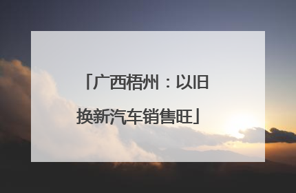 广西梧州：以旧换新汽车销售旺