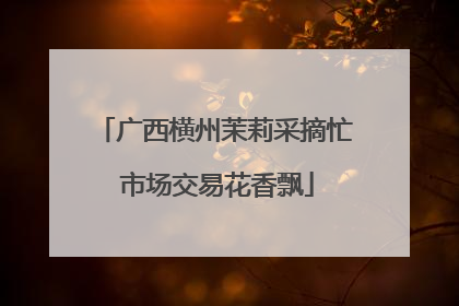 广西横州茉莉采摘忙 市场交易花香飘