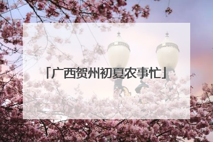 广西贺州初夏农事忙