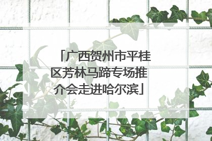 广西贺州市平桂区芳林马蹄专场推介会走进哈尔滨