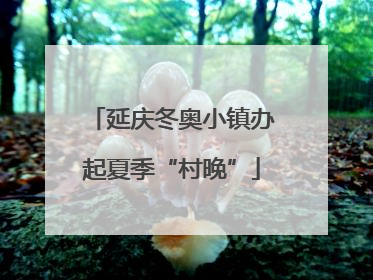 延庆冬奥小镇办起夏季“村晚”