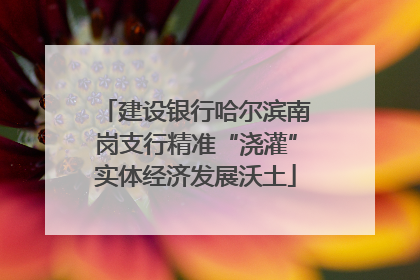 建设银行哈尔滨南岗支行精准“浇灌”实体经济发展沃土