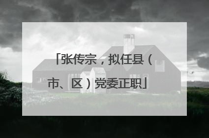 张传宗，拟任县（市、区）党委正职