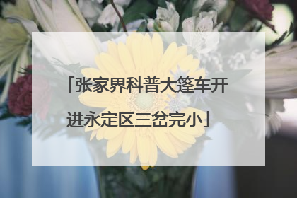 张家界科普大篷车开进永定区三岔完小