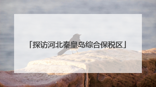 探访河北秦皇岛综合保税区
