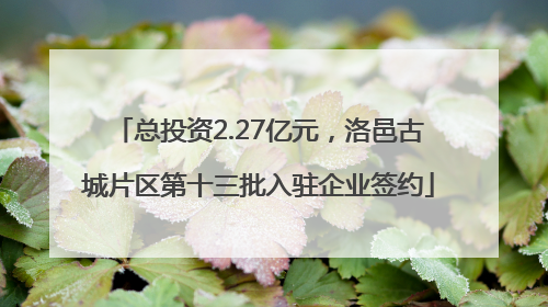 总投资2.27亿元，洛邑古城片区第十三批入驻企业签约