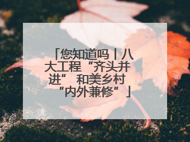 您知道吗丨八大工程“齐头并进” 和美乡村“内外兼修”