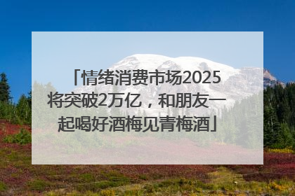 情绪消费市场2025将突破2万亿，和朋友一起喝好酒梅见青梅酒