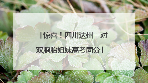 惊喜！四川达州一对双胞胎姐妹高考同分