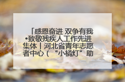 感恩奋进 双争有我•致敬残疾人工作先进集体丨河北省青年志愿者中心（“小橘灯”助残接力计划实施团队）：用温暖陪伴，守护特殊孩子成长