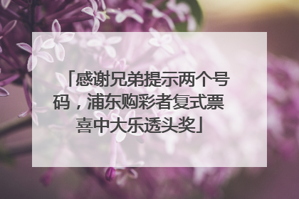 感谢兄弟提示两个号码，浦东购彩者复式票喜中大乐透头奖
