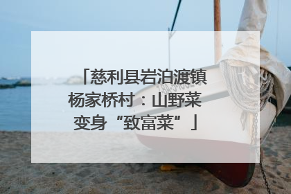 慈利县岩泊渡镇杨家桥村：山野菜变身“致富菜”