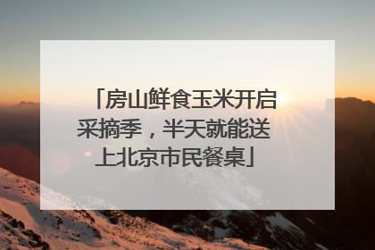 房山鲜食玉米开启采摘季，半天就能送上北京市民餐桌