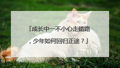 成长中一不小心走错路，少年如何回归正途？