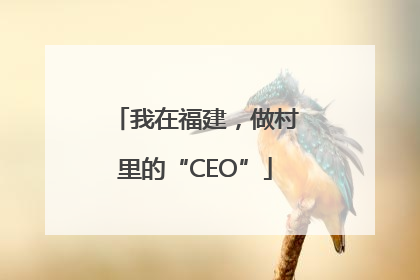 我在福建，做村里的“CEO”