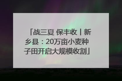 战三夏 保丰收丨新乡县：20万亩小麦种子田开启大规模收割