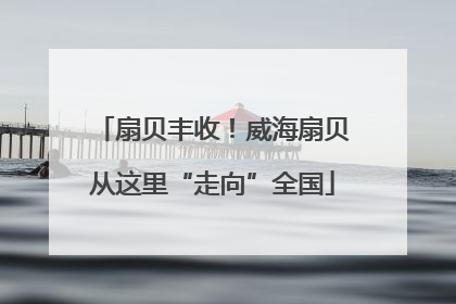 扇贝丰收！威海扇贝从这里“走向”全国