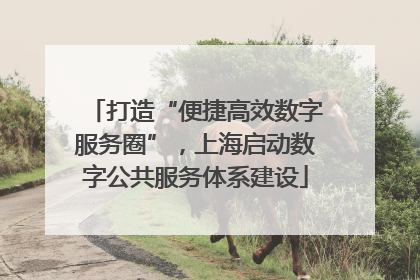 打造“便捷高效数字服务圈”，上海启动数字公共服务体系建设